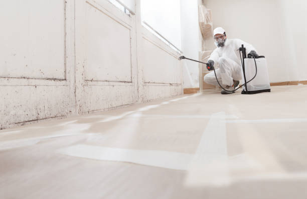24/7 Emergency Mold Inspection experts in Bordentown, NJ