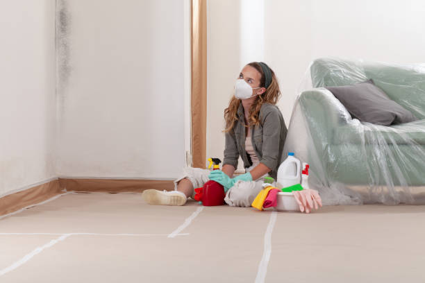 Reliable Mold Inspection contractor in Bordentown, NJ by WQB Mold Removal